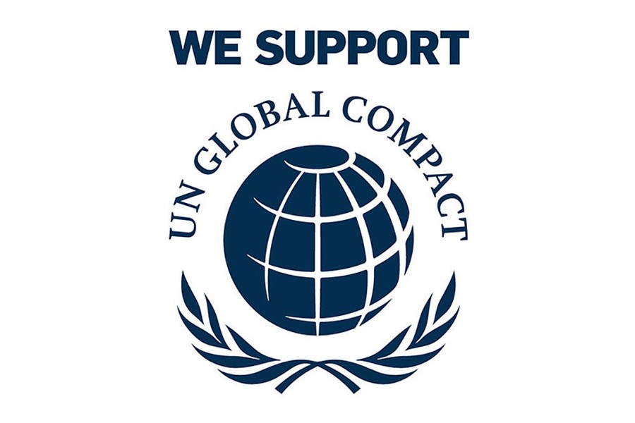 UN Global Compact FlexScan EV2795