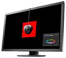 customer criteria for graphics monitors d5a