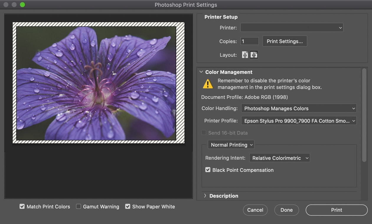 color management when printing in photoshop 682