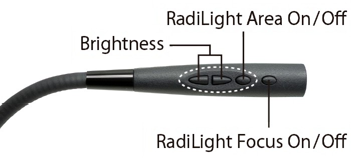 radilight df1 transformed