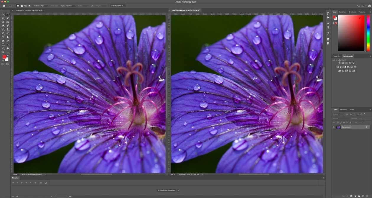 showing original next to the proof in photoshop e23