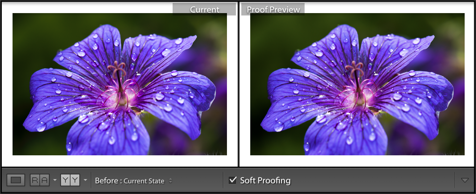 soft proofing original image and proof side by side bb2
