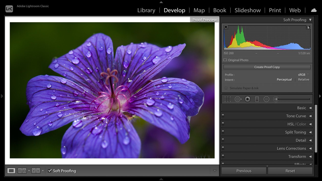 the soft proofing preview in lightroom s develop module dfa