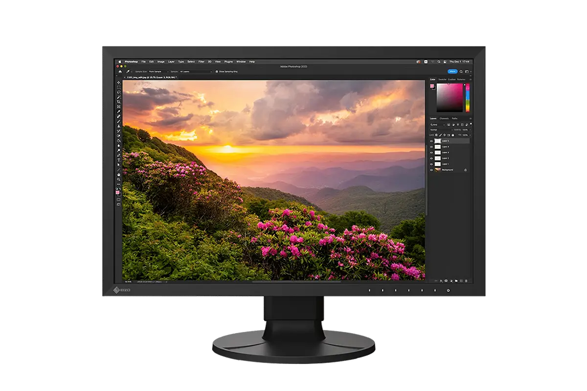 EIZO CS2400S