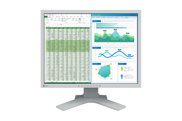 EIZO | FlexScan S2134