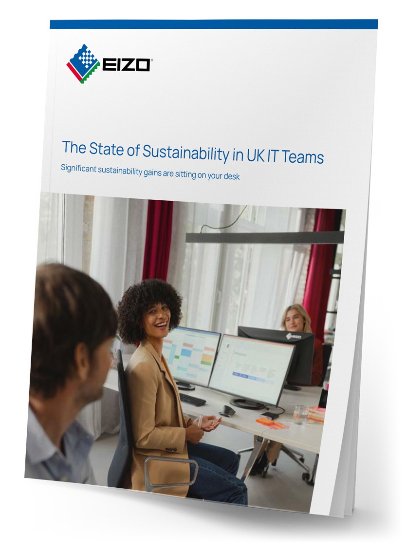 The Estate of Sustainability in UK IT Teams brochure