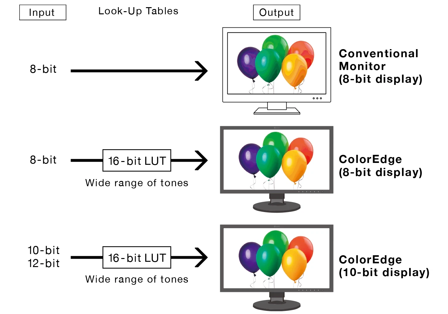 10-Bit Simultaneous Display