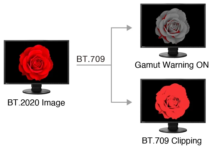 BT.709 Out-of-Gamut Warning